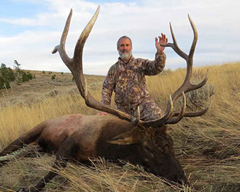 Elk Wyoming